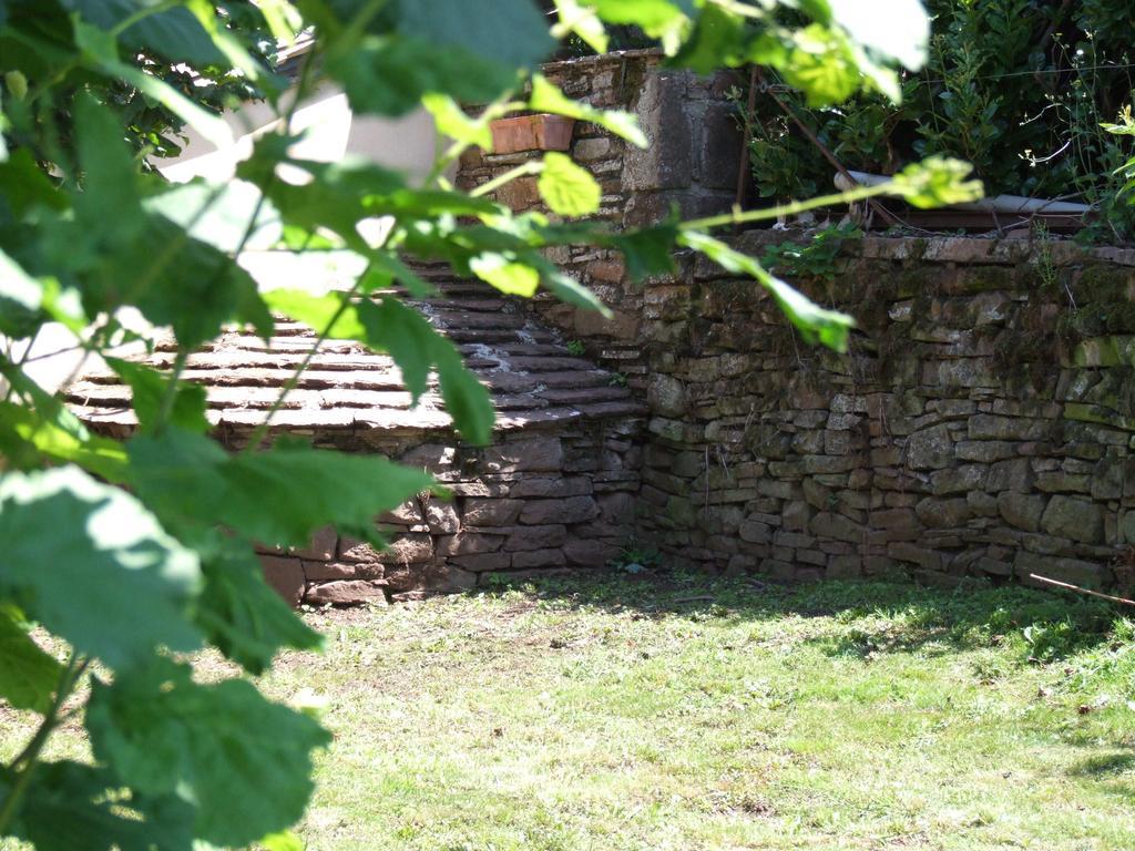 Вілла Gite L'Oustal Occitan A Saint-Juery Номер фото