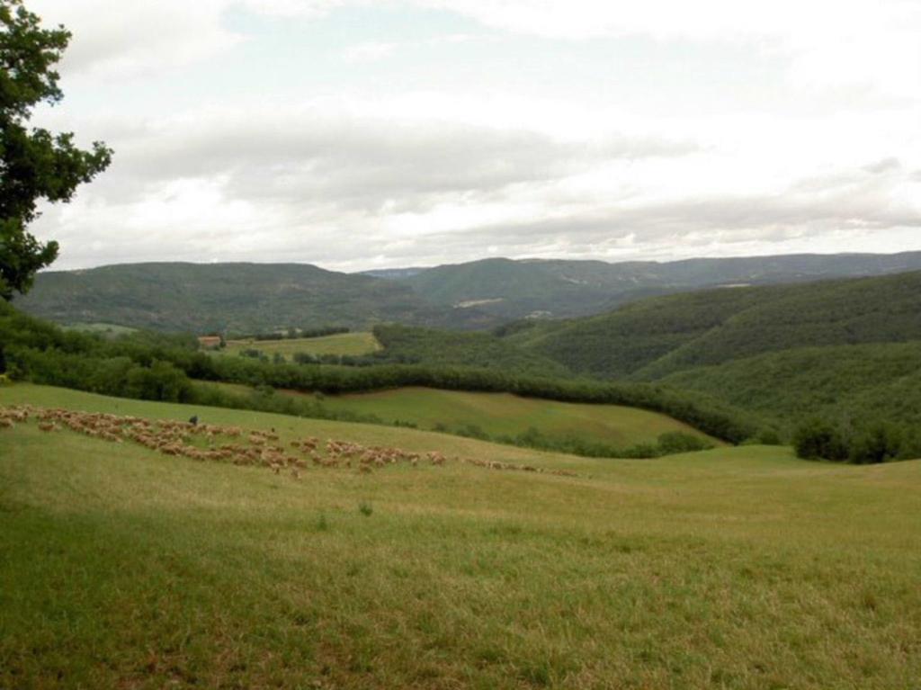 Вілла Gite L'Oustal Occitan A Saint-Juery Екстер'єр фото